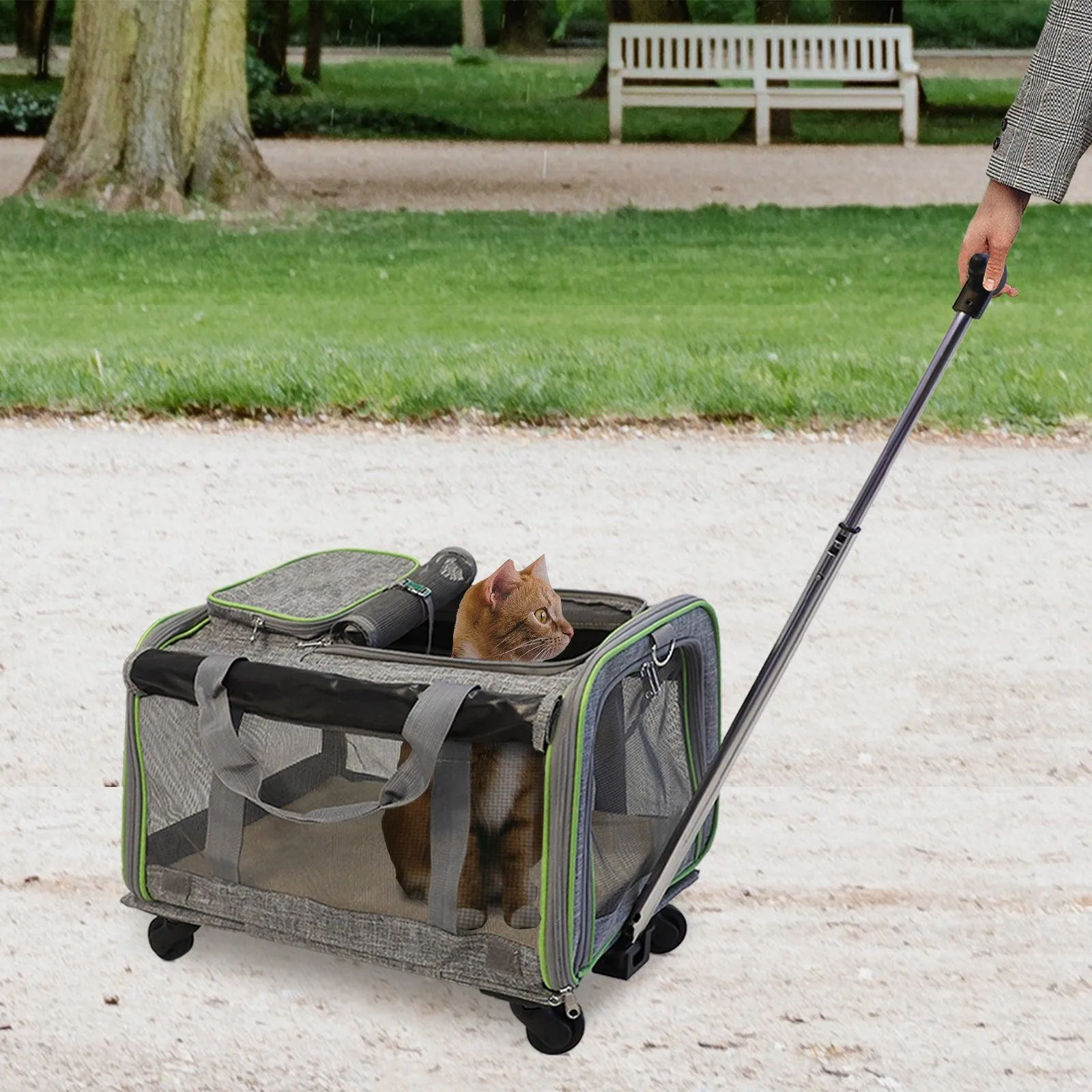 Folding Pet Carrier with Wheels Dog Cat Travel Carrier with Telescopic Handle, Gray