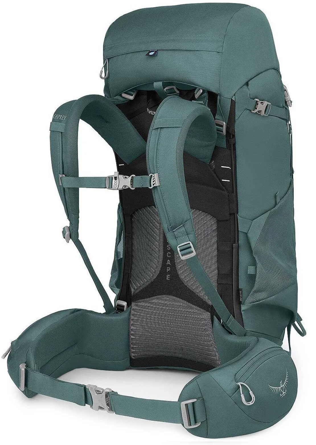 Osprey Women's Viva 65 Succulent Hiking Backpack